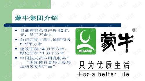 蒙牛廣告策劃案商業(yè)計劃書——精準營銷，品牌升級